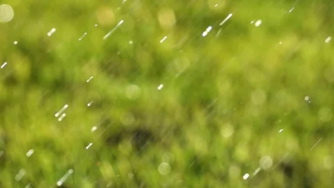 Water falling on grass Stock-Footage 89501866