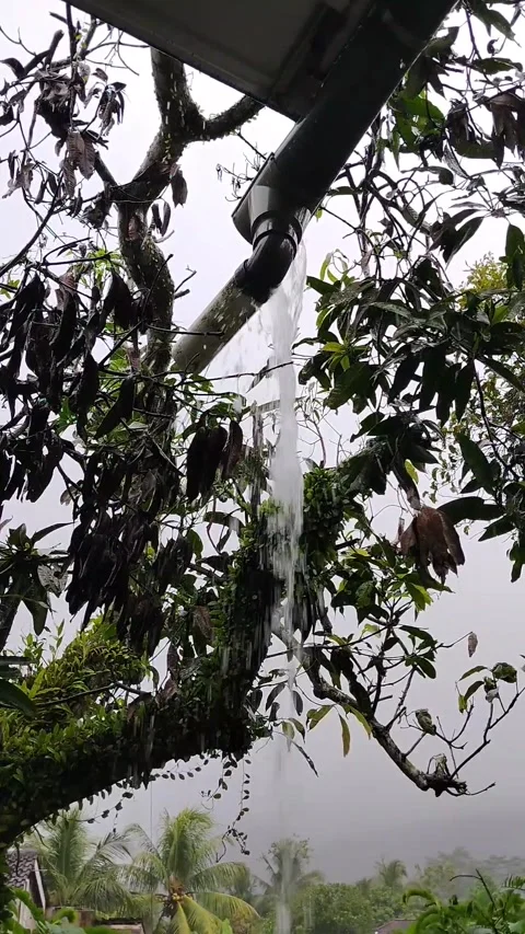 Water falling from the gutter during heavy rain Stock Footage 330447841