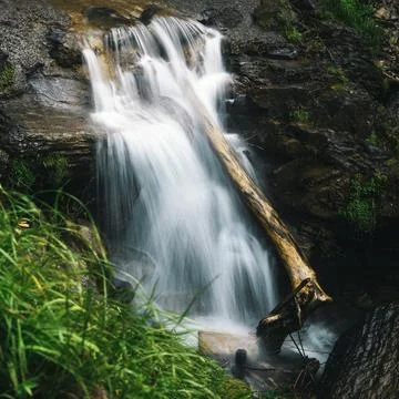 Water falling on log Stock Photos
