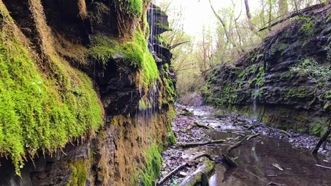 Water Falling Off of a Mossy Cliff Stock-Footage 100799411