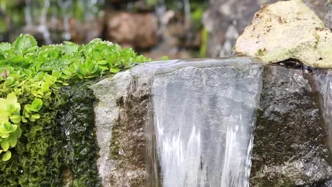 Water falling from mossy rocks with adjacent shrubs 스톡 동영상 73375604