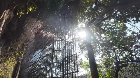 Water falling over edge in a forest within a a gorge Stock Footage 313815749