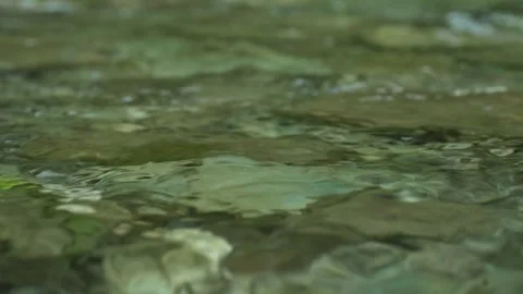 Water is falling over the river in the rocks. Stock Footage 251582697