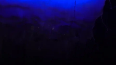 Water falling over window in colourful lights liquid slow motion Stock Footage 87906781