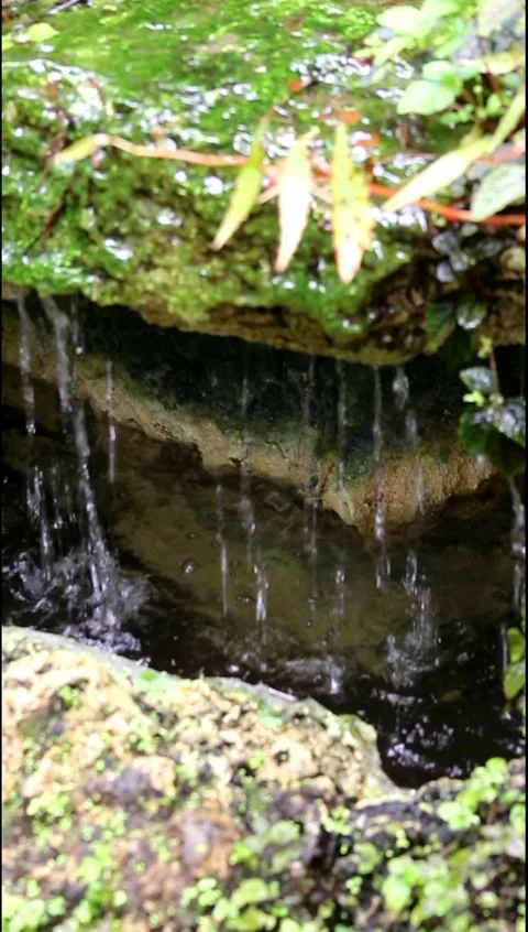 Water Falling into Pond Vertical View Stock Footage 237368170