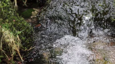 Water falling river creek bubbles Stock Footage 80189864