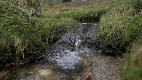 Water falling river creek bubbles winter forest Stock Footage 80415024
