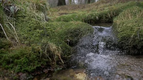 Water falling river creek bubbles winter forest 2 Stock Footage 80417134