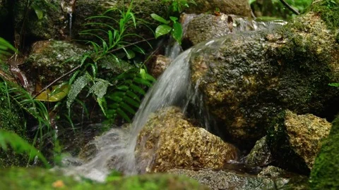 Water falling from rocks Stock Footage 79035428