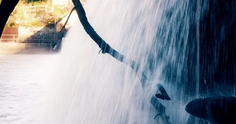 Water Falling from Small Dam in Forest Stock Footage 119003129