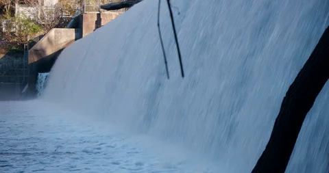 Water Falling from Small Dam in Forest Vídeo Stock 119003184