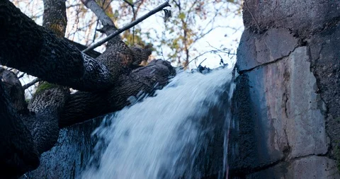 Water Falling from Small Dam in Forest Vídeo Stock 119003207