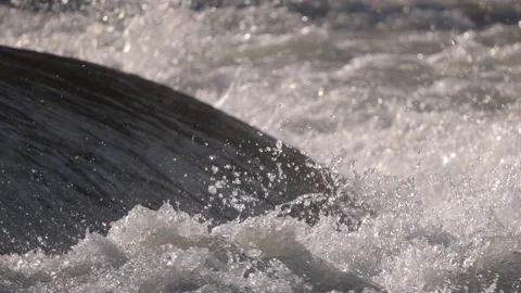 Water falling off a small river dam in slow motion. Power of the water. Stock Footage 334813515