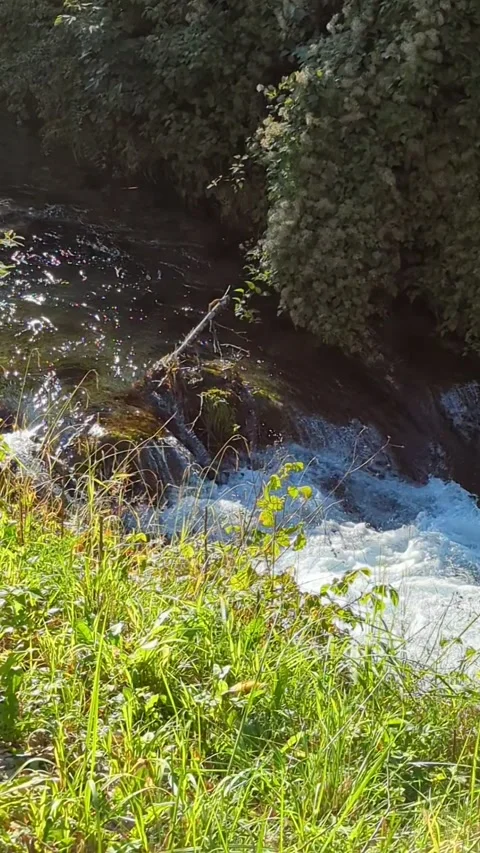 Water falling in a small river Stock Footage 259313924