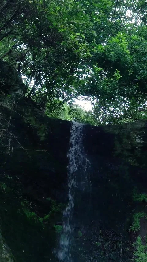 Water falling from a small waterfall in a lush forest Stock Footage 334442586