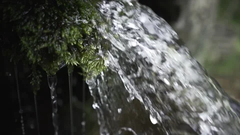 Water falling from a spring through the mountain moss Stock Footage 221513218