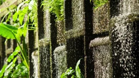Water falling through an old stone weir, Cupatitzio park Stock Footage 346621552