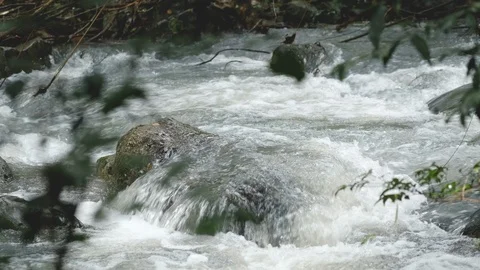 The water from falling water flow in the river and impact to the rock Stock Footage 122237636