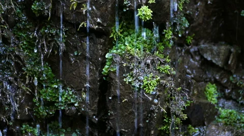 Water falls down the mountain, Closeup 50 fps Stock Footage 52485114