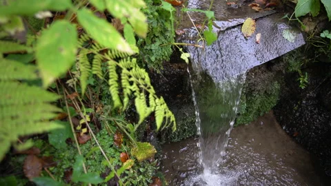 Water falls down the rock Stock Footage 158972411