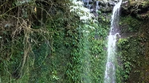 Water Falls Stock Footage 132995096