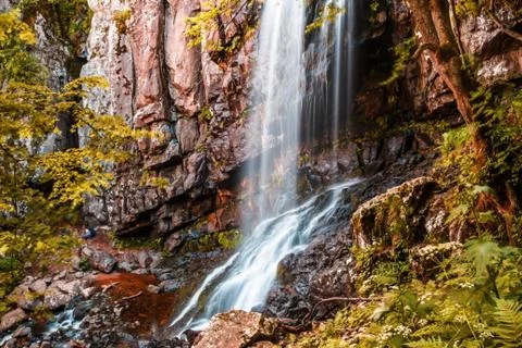 Water falls in the middle of the forest, selective focus, selective focus on Stock Photos