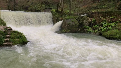 Water falls in a river stream in forest Stock Footage 88777408