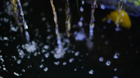 Water falls from the roots. Stock Footage 249802180