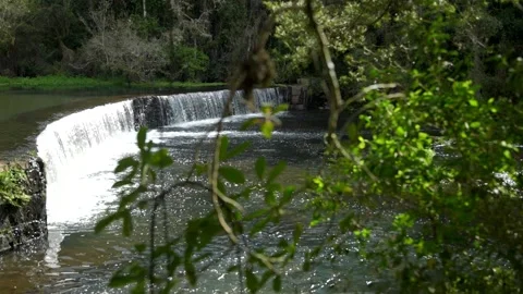 Water Falls in the Step Stock Footage 196853761