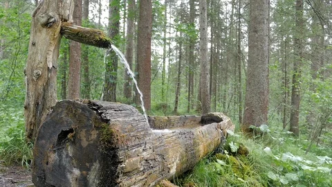 Water feature found on the forest walk near Gradenbach wasserfall Stock Footage 114461778