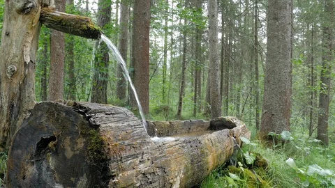 Water feature found on the forest walk near Gradenbach wasserfall Stock Footage 114462828