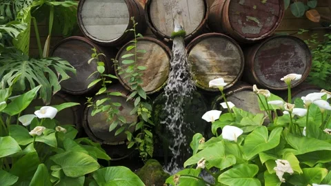 Water feature made from a collection of old whiskey barrels Stockbeeldmateriaal 241520822