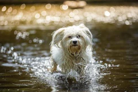 Water feature Stock Photos