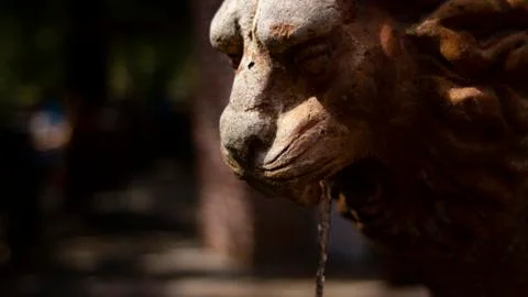 Water Feature Stock Photos