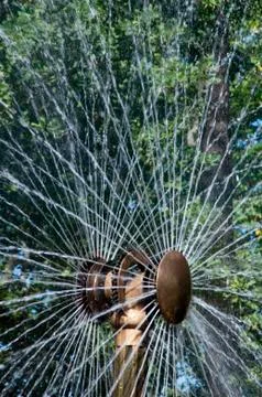Water feature with trees in background Stock Photos