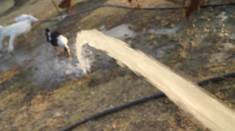 Water in the field (2) - 50fps Stock Footage 30444359