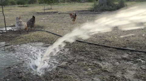 Water in the field (3) - 50fps Stock Footage 30474400