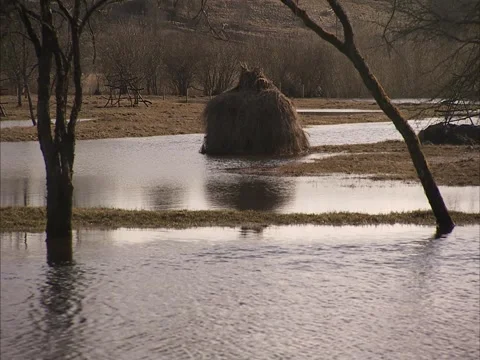 Water in field with haystack Stock Footage 2326685