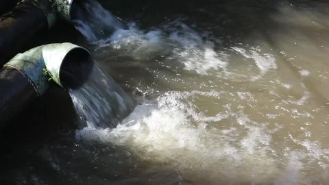 Water in the fish pond Stock Footage 253485483
