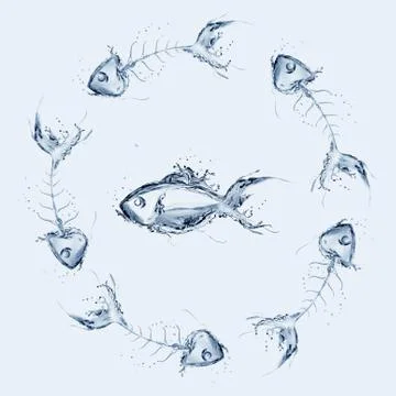 Water Fishbone Circle and Fish Stock Illustration