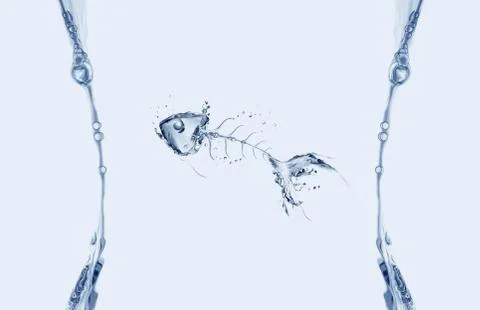 Water Fishbone Frame Stock Illustration