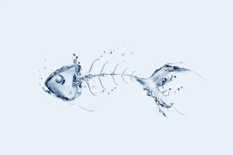 Water Fishbone Stock Illustration