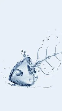 Water Fishbones Stock Illustration