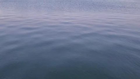 Water floating in the river texture background video Stock Footage 278661837