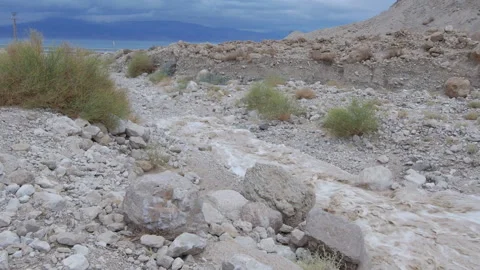 Water flood in the desert 스톡 동영상 168326397