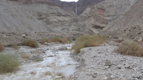 Water flood in the desert Stock Footage 168332802