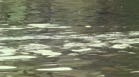 Water Flood Stock-Footage 22334401