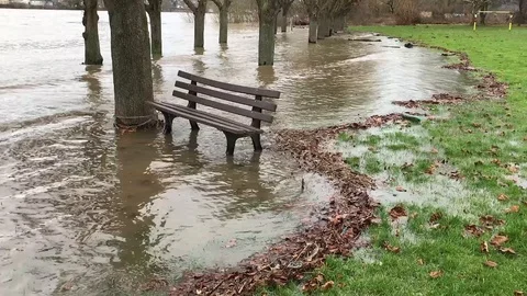 Water flooding over trees from river Rhine Stock Footage 120137957
