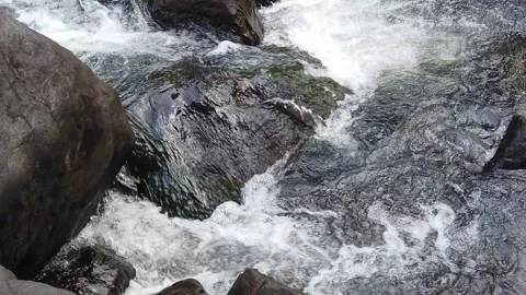 Water floowing in beautiful spring stream passing through rocks in jungle Stock Footage 166580565