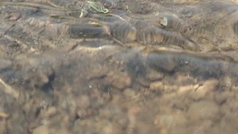 Water flor Stock Footage 341855572